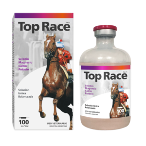 Top-Race