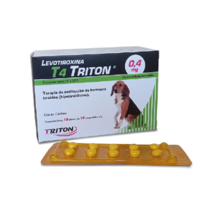 LevoT4Triton